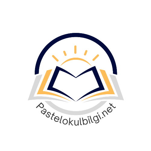 Pastel Okul Bilgi Logo